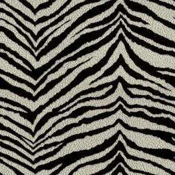Zebra Raffia